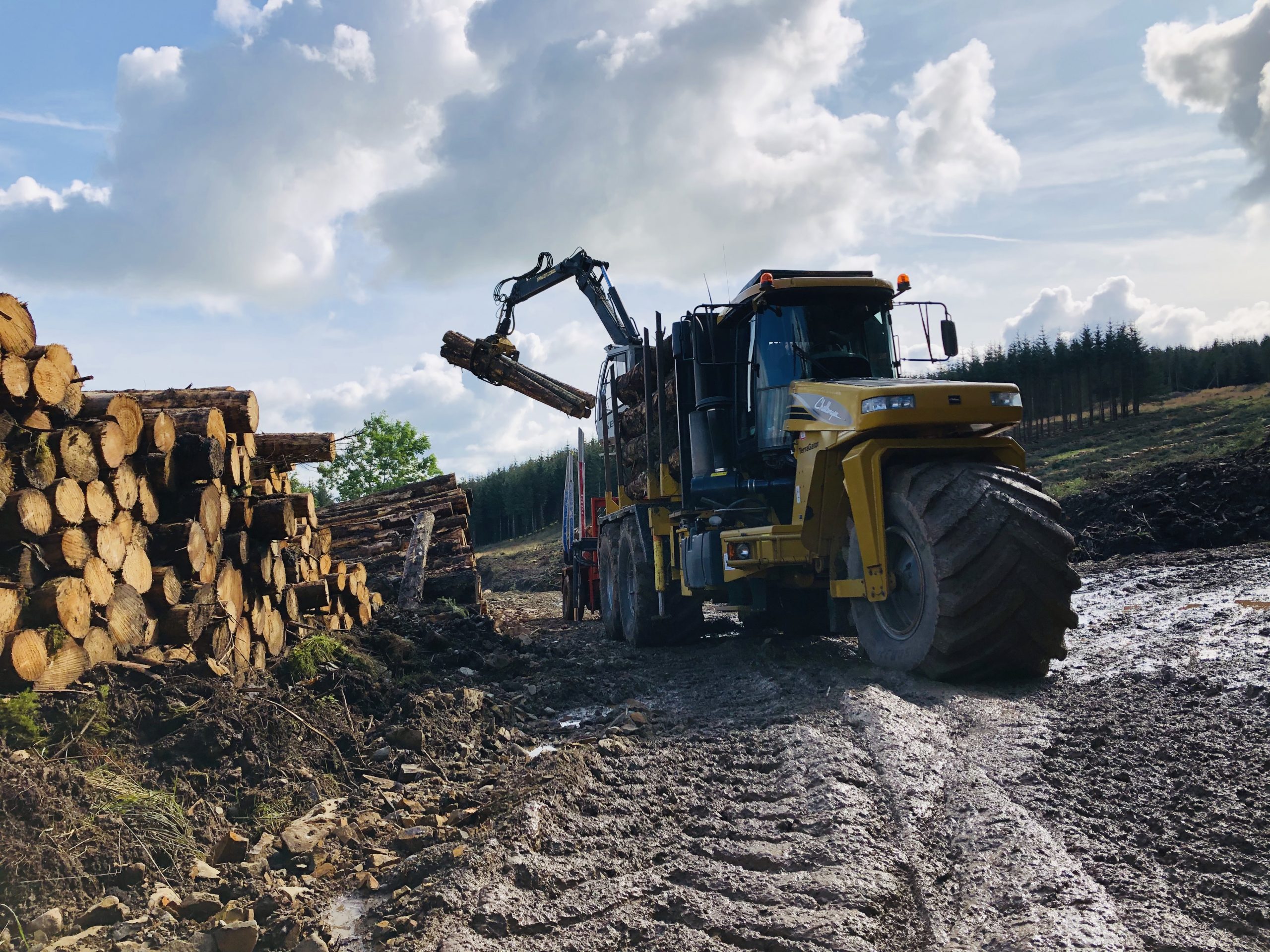 SERVICES | Howie Forestry Solutions
